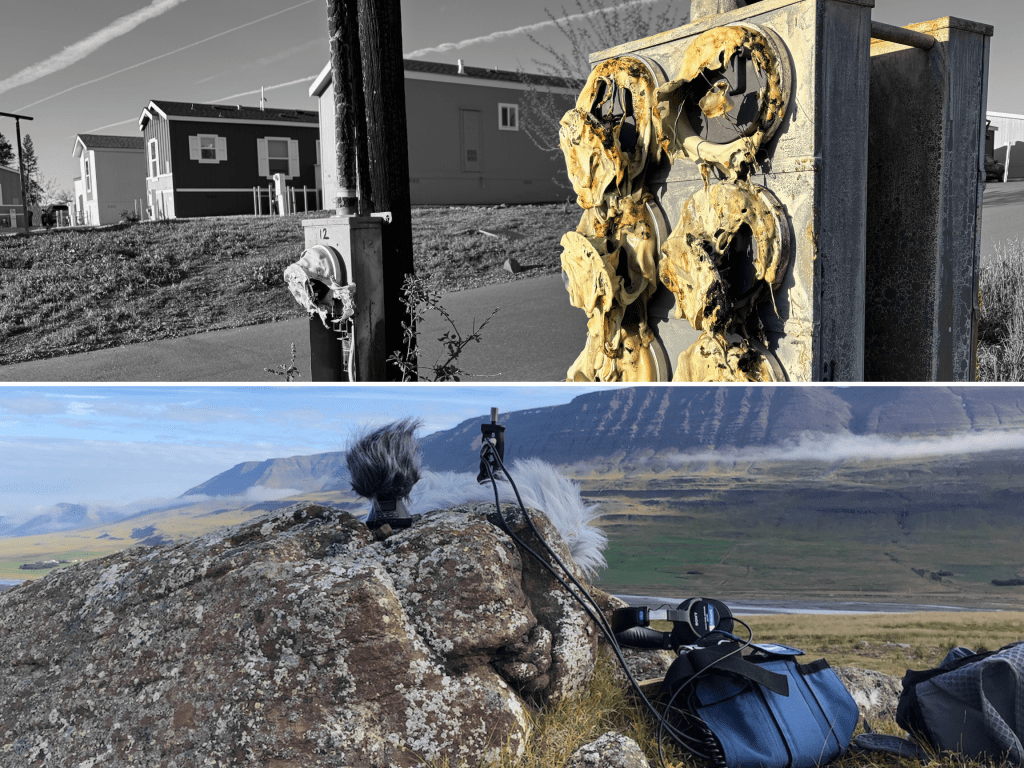 EARTHFEST Warmup :: Scott Sherk | roachtobin [LONG&nbsp;FORM]